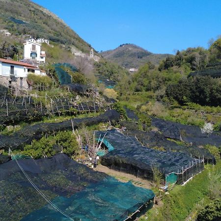 Antica Cartiera Sant'Elia Διαμέρισμα Tramonti Εξωτερικό φωτογραφία