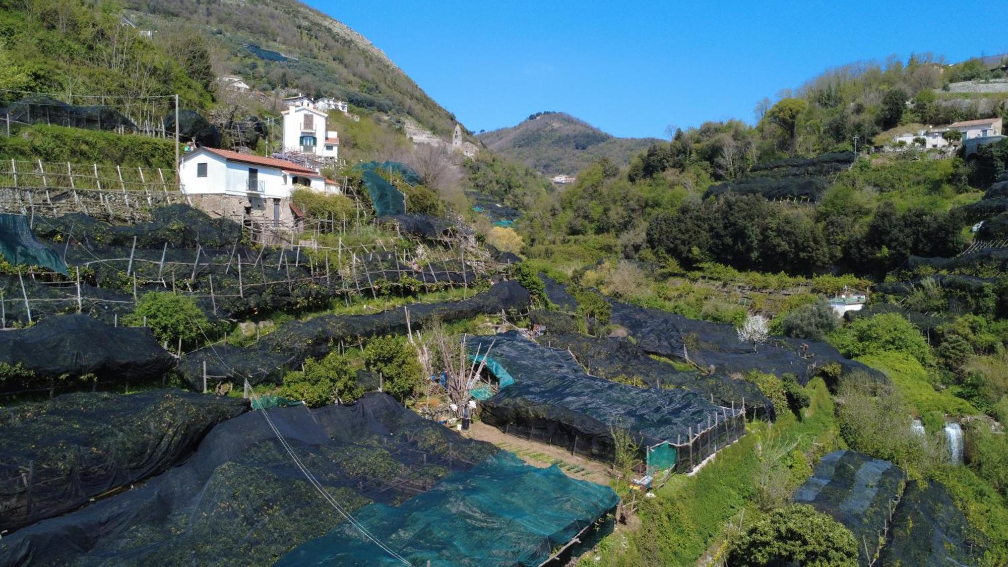 Antica Cartiera Sant'Elia Διαμέρισμα Tramonti Εξωτερικό φωτογραφία