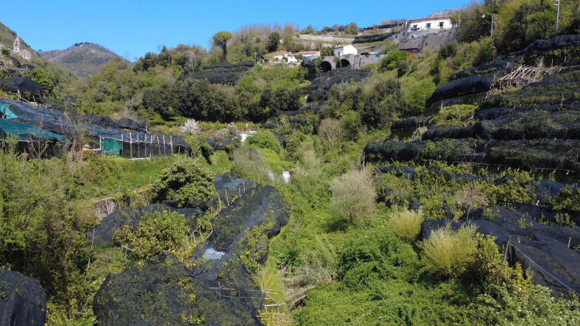 Antica Cartiera Sant'Elia Διαμέρισμα Tramonti Εξωτερικό φωτογραφία